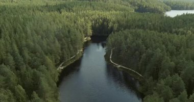 Vaha Koukkujrvi 'nin güneşli yaz mevsiminde, Finlandiya' daki Evo dinlenme bölgesinde, göl boyunca uzanan ahşap patika manzarası..