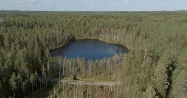Finlandiya 'nın güneşli yaz mevsiminde Evo dinlenme bölgesinde Sarkijrvi Gölü' nün havadan görünüşü.