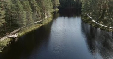 Vaha Koukkujrvi 'nin güneşli yaz mevsiminde, Finlandiya' daki Evo dinlenme bölgesinde, göl boyunca uzanan ahşap patika manzarası..