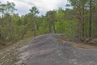 Bulutlu yaz havasında, Finlandiya 'da, Nuuksio' da, ormanda yürüyüş parkurunda..