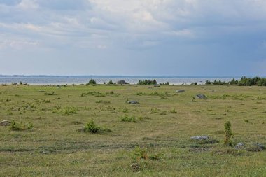 Typical landscape of a baltic coastal meadow, grassy and rocky seashore, in cloudy summer weather, Matsula National Park, Estonia.