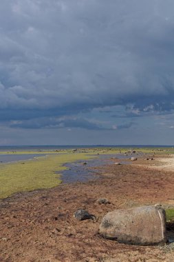 Baltic coastal landscape with small rocks that sit on mix of sand, grass and seaweed in cloudy summer weather, Matsula National Park, Estonia.