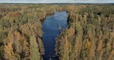 Kalkkinen akıntılarının hava görüntüsü, güneşli bir sonbahar gününde, Finlandiya 'nın Asikkala kentinde serbestçe akan az sayıdaki akarsulardan biridir..