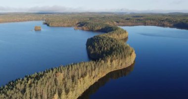 Güneşli bir sonbahar gününde büyüyen çam ağaçlarıyla Joutsniemi tepesinin havadan görünüşü, Leivonmki Ulusal Parkı, Joutsa, Finlandiya.