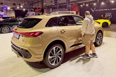 Aljava Ukukivi 'nin (Uku' nun sunduğu taş) çimenli bir tarlada, yanında ardıç ağacı bulunan kayanın manzarası, alçak yerde bulunan bitki örtüsü ve güneşli yaz mevsiminde gökyüzünde bulutlarla kaplı bir orman hattının arka planı, Muhu, Estonya.