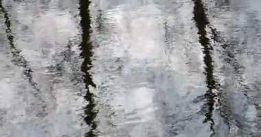 Bahar aylarında hafif dalgalı su yüzeyinde çıplak ağaçların ve açık gökyüzünün soyut yansımaları, Mustavuori, Helsinki, Finlandiya.