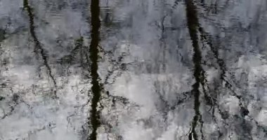 Bahar aylarında hafif dalgalı su yüzeyinde çıplak ağaçların ve açık gökyüzünün soyut yansımaları, Mustavuori, Helsinki, Finlandiya.