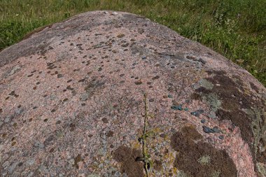Aljava Ukukivi 'nin (Uku Taşı' nın sunumu) yakın çekimi. Yazın güneşli havalarda kayaya bırakılan madeni paralar, Muhu, Estonya.