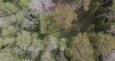 Uuejarv deliğinin (subatan) havadan görünüşü karstik bir çukur olup, Estonya 'nın Hiiumaa kentindeki en büyük subatandır..