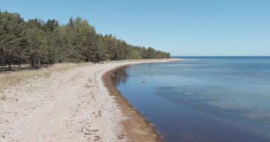 Doğal Hirmuste Sahili 'nin havadan görünüşü, güneşli bahar havasında güzel bir çam ormanı olan Hiiumaa, Estonya' da sığ, kumlu bir plaj ve kayalık bölgelerin karışımını içerir..