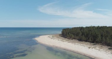 Güneşli bahar havasında yoğun kozalaklı ağaçlarla çevrili uzun ve kumlu bir sahile sahip doğal bir sahil manzarası, Tahkuna, Hiiumaa, Estonya.