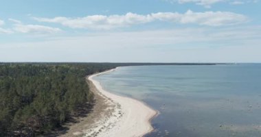 Güneşli bahar havasında yoğun kozalaklı ağaçlarla çevrili uzun ve kumlu bir sahile sahip doğal bir sahil manzarası, Tahkuna, Hiiumaa, Estonya.