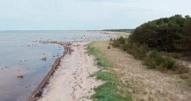 İlkbaharda ormanla çevrili sığ kumlu plajlar, Pammana, Saaremaa, Estonya.