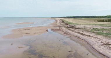 İlkbaharda ormanla çevrili sığ kumlu plajlar, Pammana, Saaremaa, Estonya.