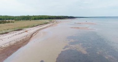 İlkbaharda ormanla çevrili sığ kumlu plajlar, Pammana, Saaremaa, Estonya.