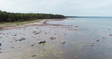 İlkbaharda ormanla çevrili sığ kumlu plajlar, Pammana, Saaremaa, Estonya.