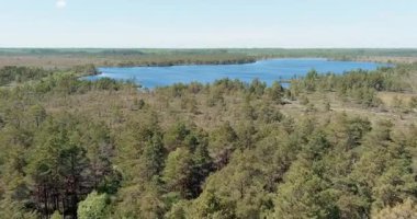 İlkbaharda Koigi bataklığı ve gölü gökyüzünde bulutlar, Saaremaa, Estonya.