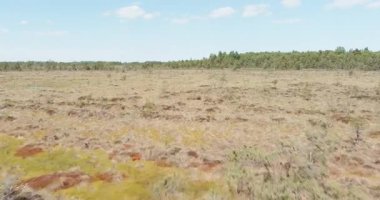 İlkbaharda gökyüzünde bulutlar olan Koigi bataklığının havadan görünüşü, Saaremaa, Estonya.