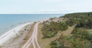 Baharda Saaremaa Adası 'nın kuzeybatı kıyısında yer alan ve gökyüzünde bulutlar olan kıyı kayalığı olan Suuriku uçurumundaki toprak yolların hava manzarası, Estonya.