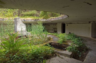 Ninase sahil savunma bataryasının kalıntıları. 317, 2. Dünya Savaşı döneminden kalma Ninase Yarımadası 'nda bulunan ve yaz mevsiminde bitki örtüsü ile kaplanmış bir kale. Saaremaa, Estonya.