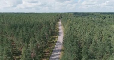 Yoğun bir çam ormanının içinden geçen iki şeritli hava yolu bulutlu yaz havasında, Harparskog, Hanko, Finlandiya.