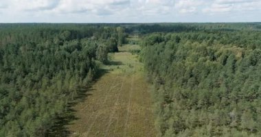 Bulutlu yaz havasında hava hattı koridoru, Harparskog, Hanko, Finlandiya.