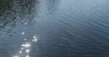 Yaz aylarında yüzeyinde hafif dalgalanmalar olan bir su kütlesinin havadan görünüşü, Pentala, Espoo, Finlandiya.