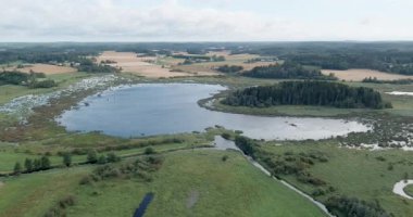 Vanjarvi Gölü ve çevresini çevreleyen bulutlu yaz havası, Vihti, Finlandiya.