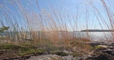 Yazın granit kaya oluşumları ve açık mavi gökyüzü, Pentala, Espoo, Finlandiya ve Avrupa ile deniz kenarı bitkilerinin yer aldığı manzara takımadaları.