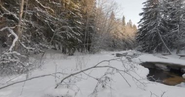 Kış boyunca karla kaplı bir ormandan akan sakin, kısmen donmuş nehir, Matarinkoski, Vantaa, Finlandiya, Avrupa.