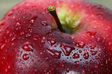 ıslak Kırmızı elma
