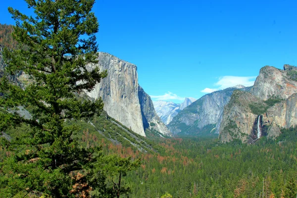 Parque Nacional de Yosemite — Fotografia de Stock