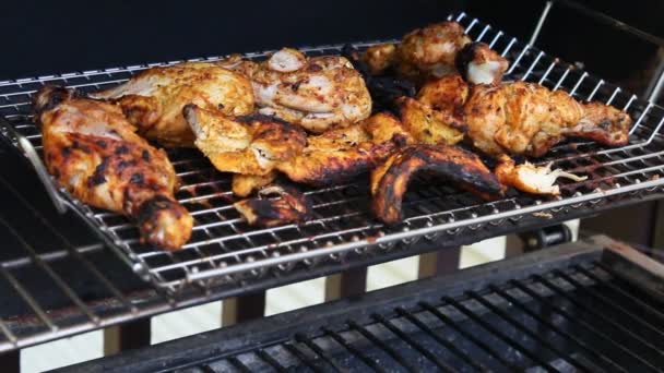 Grilled Tandoori chicken — Stock Video