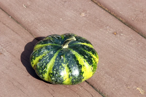 Una zucca decorativa — Foto Stock