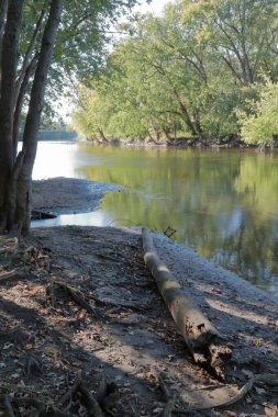 Sonbahar mevsiminde ormanda bir nehir.