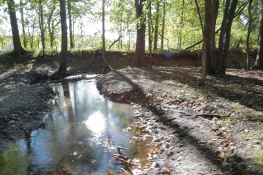 Sonbahar mevsiminde ormanda bir nehir.