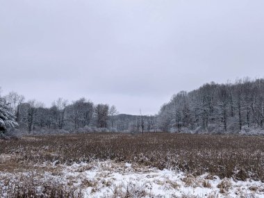 Kışın karla kaplı bir tarla..