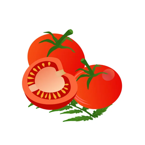 Ganze Rote Tomate Mit Einer Aufgeschnittenen Tomate Isoliert Auf Weißem — Stockvektor