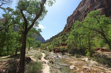 Utah 'taki Zion Ulusal Parkı' nda dağların arasından akan bakire nehir..