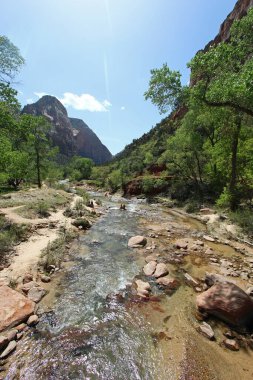 Utah 'taki Zion Ulusal Parkı' nda dağların arasından akan bakire nehir..