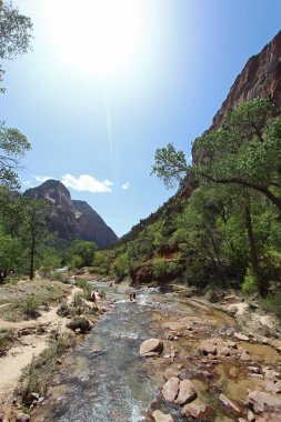 Utah 'taki Zion Ulusal Parkı' nda dağların arasından akan bakire nehir..