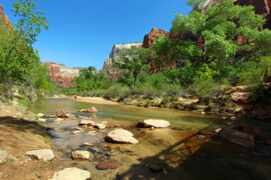 Utah 'taki Zion Ulusal Parkı' nda dağların arasından akan bakire nehir..