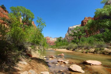 Utah 'taki Zion Ulusal Parkı' nda dağların arasından akan bakire nehir..