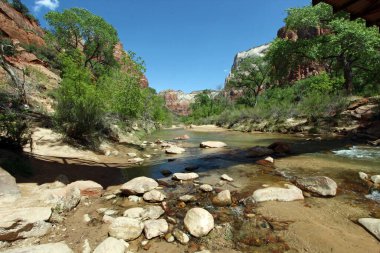 Utah 'taki Zion Ulusal Parkı' nda dağların arasından akan bakire nehir..