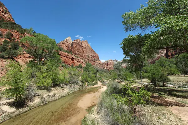 Virgin River Flowing Mountains Zion National Park Utah — Stock Photo, Image