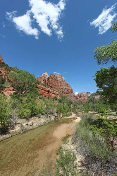 Rio Virgin Fluindo Entre Montanhas Parque Nacional Zion Utah — Fotografia de Stock