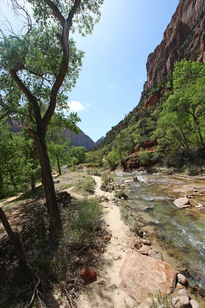 Virgin River Flowing Mountains Zion National Park Utah — Stock Photo, Image