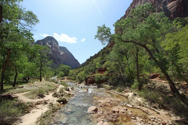 Rio Virgin Fluindo Entre Montanhas Parque Nacional Zion Utah — Fotografia de Stock