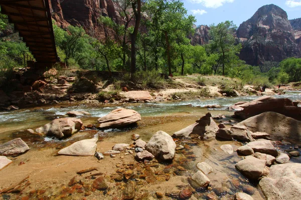 Virgin River Flowing Mountains Zion National Park Utah — Stock Photo, Image