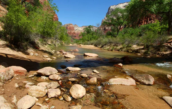 Utah 'taki Zion Ulusal Parkı' nda dağların arasından akan bakire nehir..
